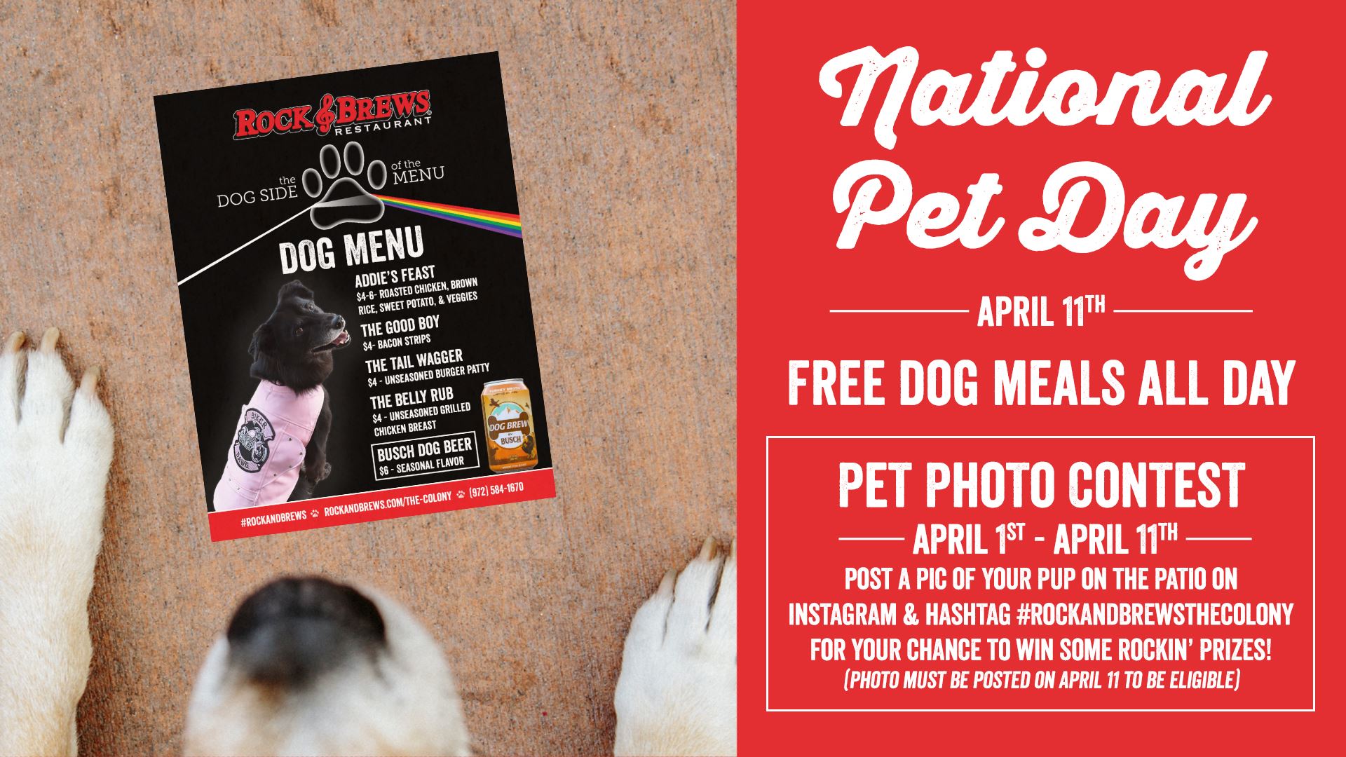 National Pet Day Rock and Brews 2024
