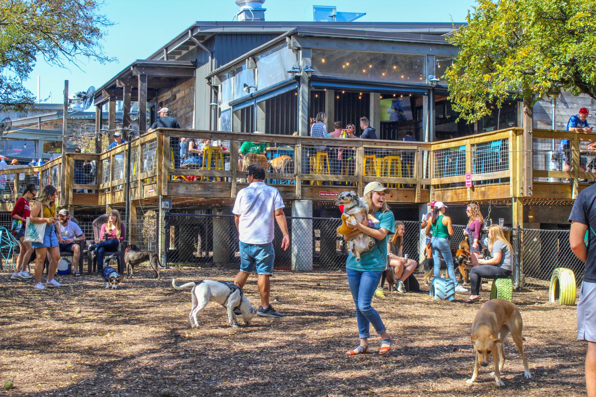 The Shacks Dining and Dog Park