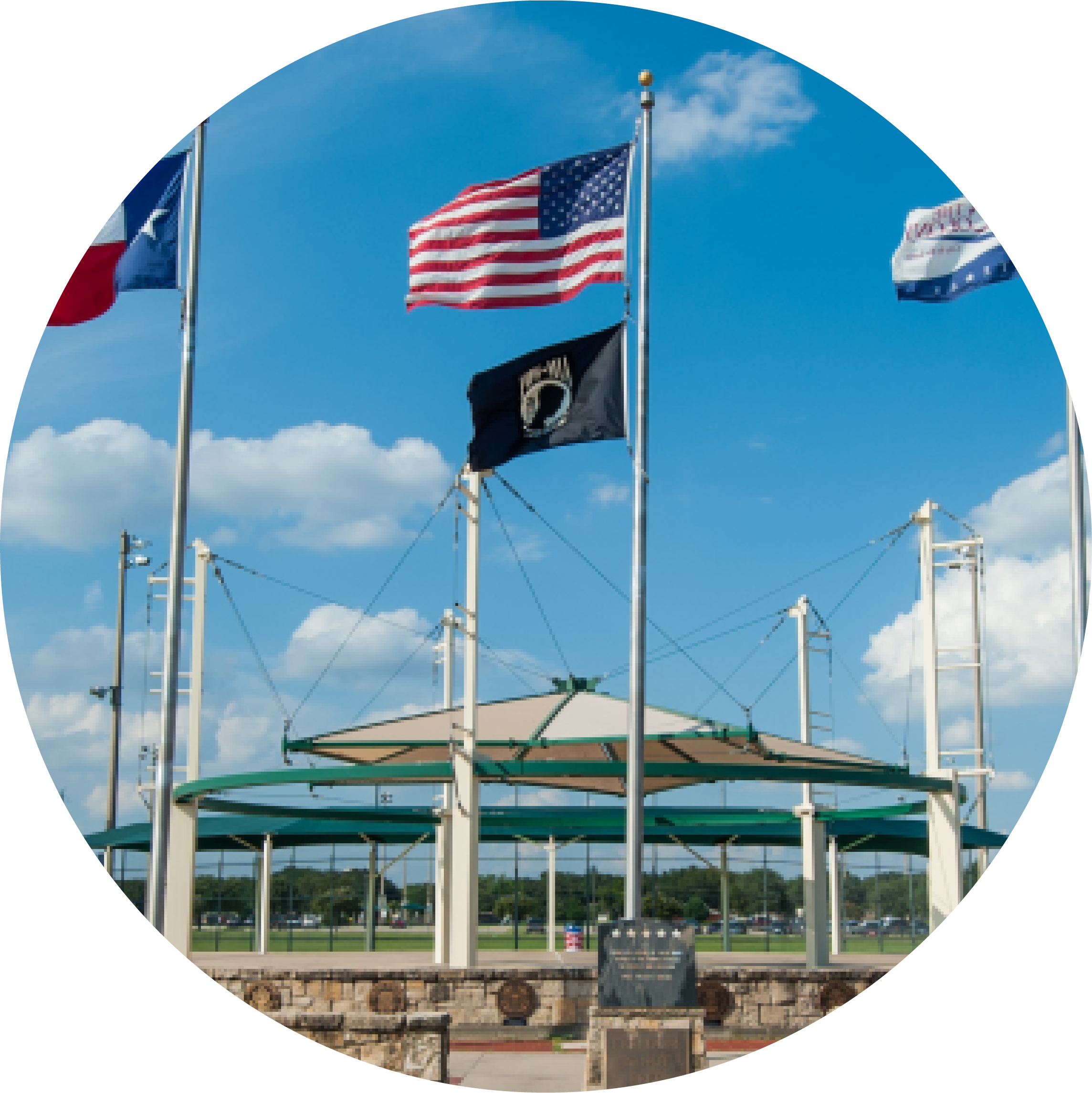 look inside Five Star Blog Opens in new window